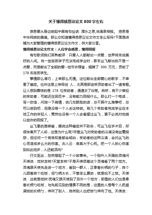 关于懂得感恩议论文800字左右