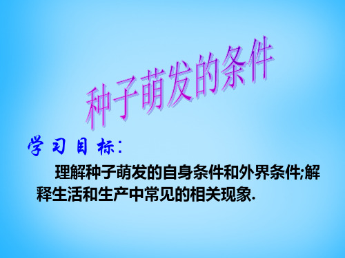 七年级生物上册3.6.1种子萌发形成幼苗课件1北师大版(共13张PPT)