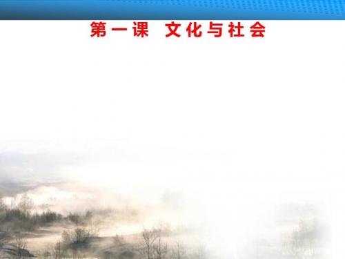 【高考政治】2018最新版本高三政治一轮复习课件：1.1文化与社会(精品通用版)