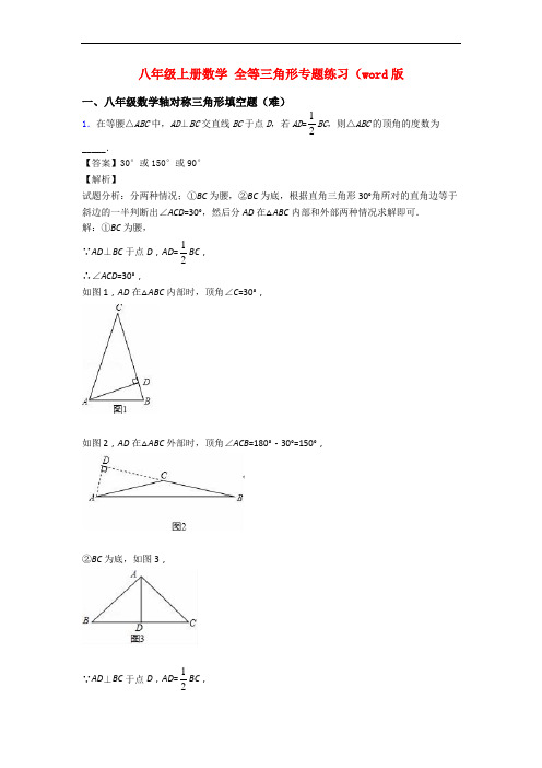 八年级上册数学 全等三角形专题练习(word版