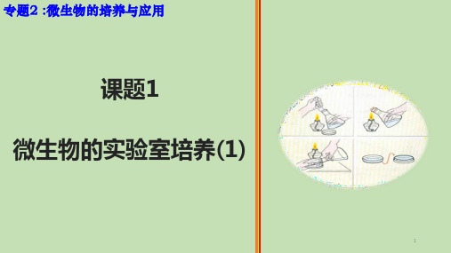 高考真题—专题2 微生物的培养与应用