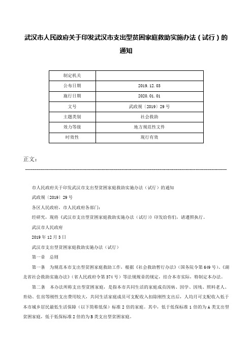 武汉市人民政府关于印发武汉市支出型贫困家庭救助实施办法（试行）的通知-武政规〔2019〕29号