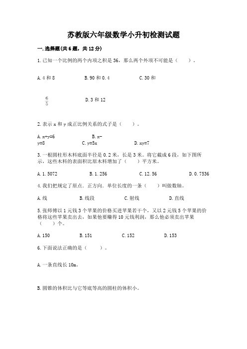 苏教版六年级数学小升初检测试题(历年真题)word版