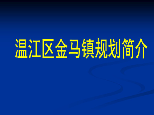 金马规划简介