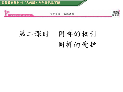 八年级政治下册 2.3.2 同样的权利 同样的爱护课件 新