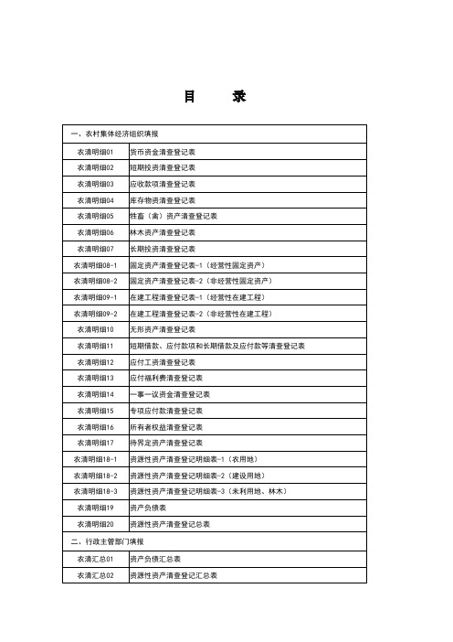 农村集体资产清产核资报表