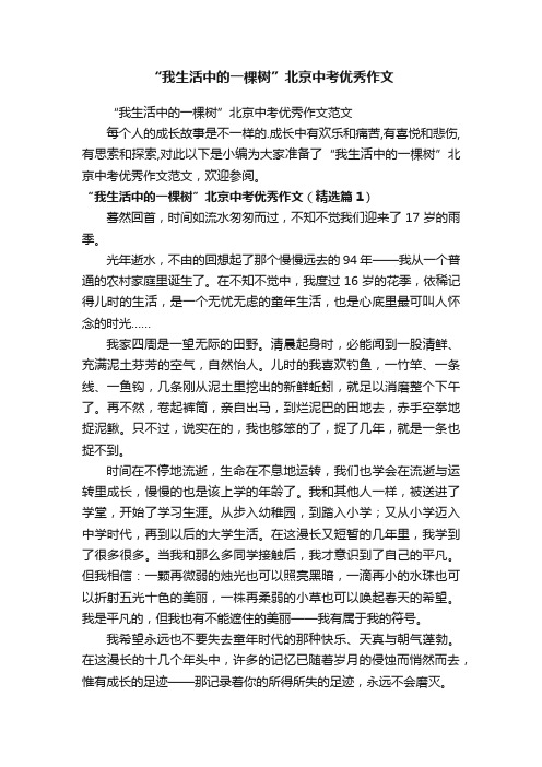 “我生活中的一棵树”北京中考优秀作文