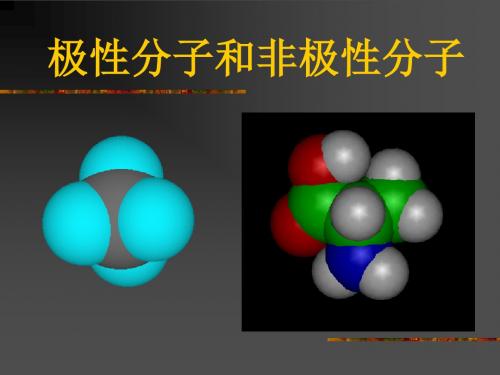 极性分子和非极性分子课件高品质版