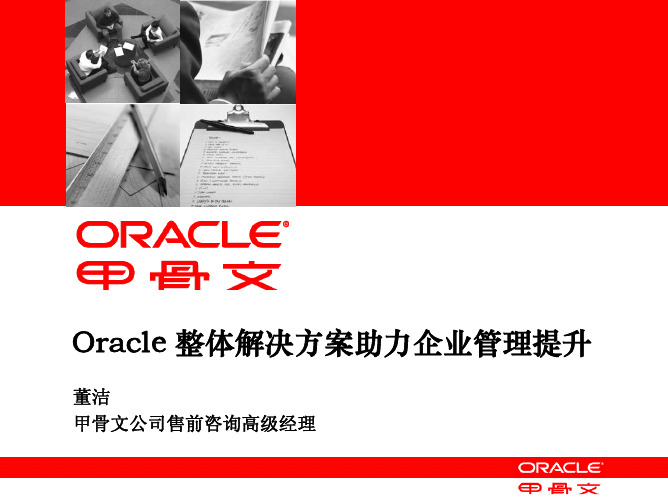 Oracle甲骨文企业整体解决方法新