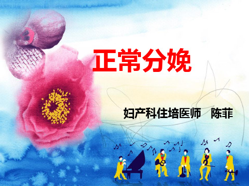 产科正常分娩机制PPT课件