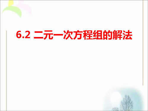 冀教版七年级下册 6.2 二元一次方程组的解法 课件(共16张PPT)