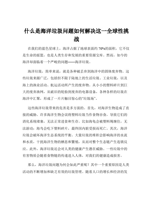 什么是海洋垃圾问题如何解决这一全球性挑战