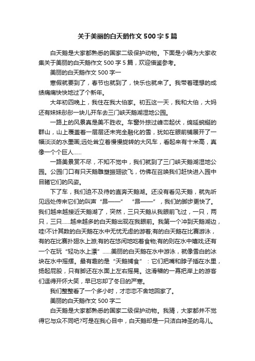 关于美丽的白天鹅作文500字5篇