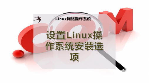 设置Linux操作系统安装选项