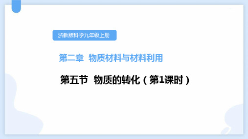 浙教版九年级科学上册《物质的转化》PPT课件