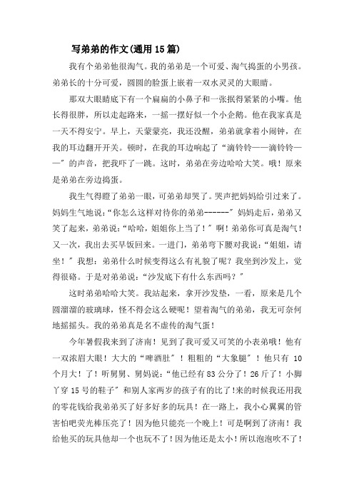 写弟弟的作文(通用15篇)精选
