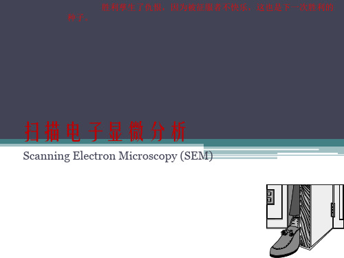 扫描电子显微镜SEM-2017