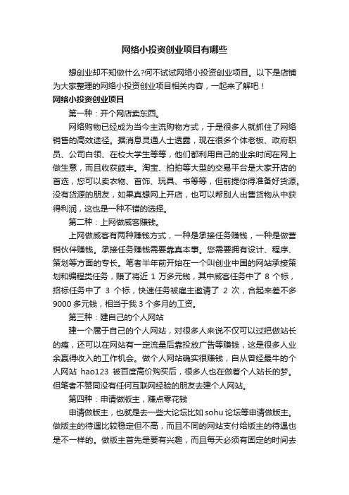 网络小投资创业项目有哪些