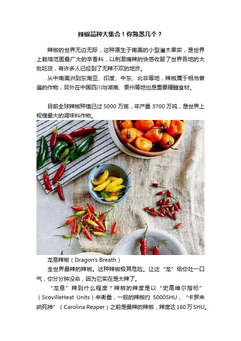 辣椒品种大集合！你熟悉几个？