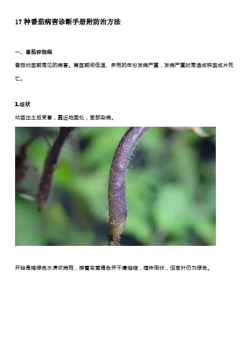 17种番茄病害诊断手册附防治方法