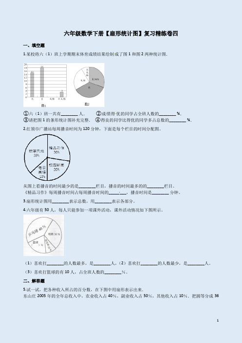 苏教版六年级数学下册【扇形统计图】复习精练卷四附答案解析