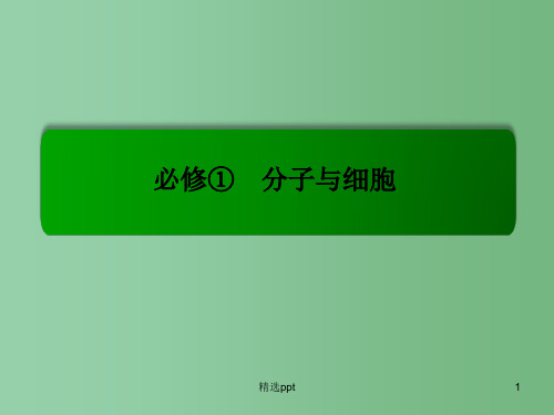 高考生物总复习 1.1走近细胞课件 新人教版必修1