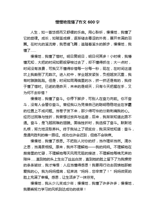 慢慢地我懂了作文600字