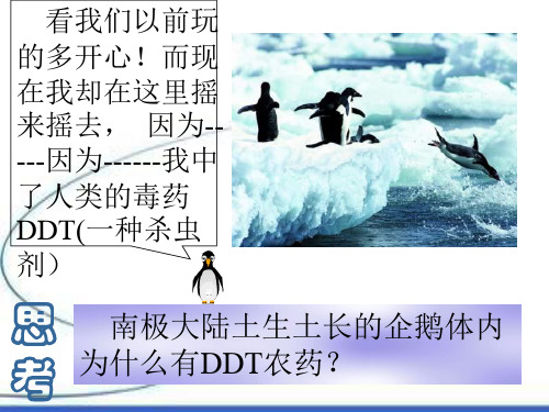 洋流PPT教学课件