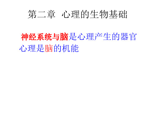 心理学导论心理的生物基础环境基础