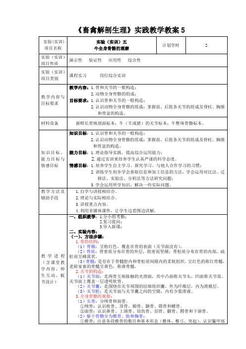 畜禽解剖生理实践教学教案5-- 牛全身骨骼的观察