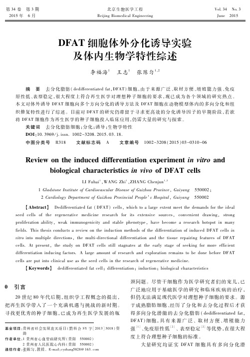 DFAT细胞体外分化诱导实验及体内生物学特性综述