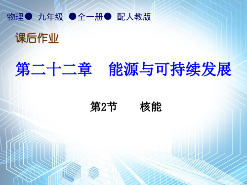 第22章第2节   核能—2020秋人教版九年级物理全一册作业课件(共15张PPT)