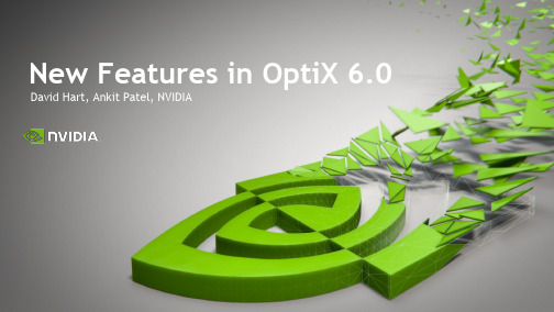 NVIDIA OptiX 6.0 技术介绍和功能说明书