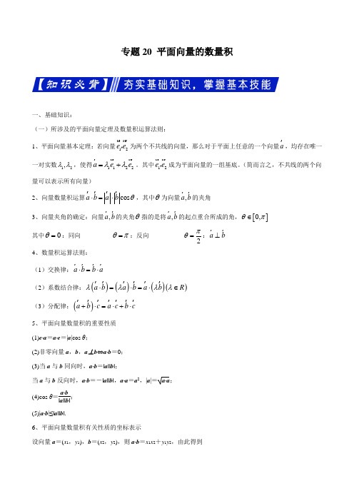 专题20 平面向量的数量积(解析版)