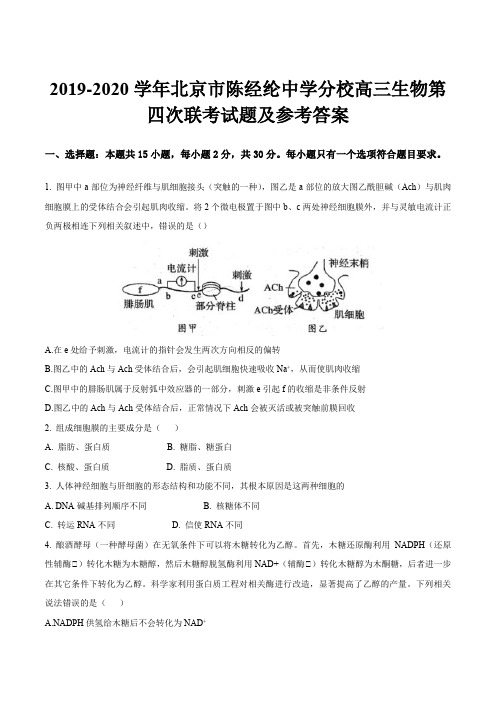 2019-2020学年北京市陈经纶中学分校高三生物第四次联考试题及参考答案