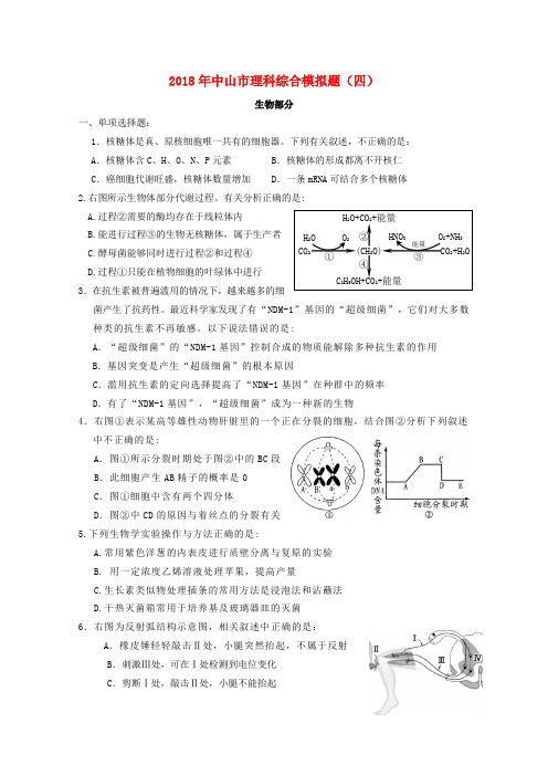 最新-广东省中山市2018届高三生物 综合模拟题(4) 理 