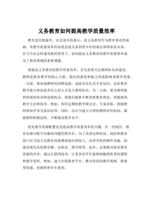 义务教育如何提高教学质量效率