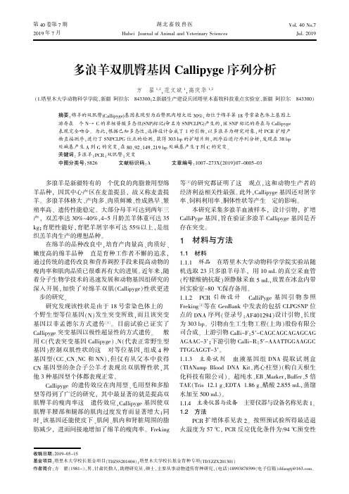 多浪羊双肌臀基因Callipyge序列分析