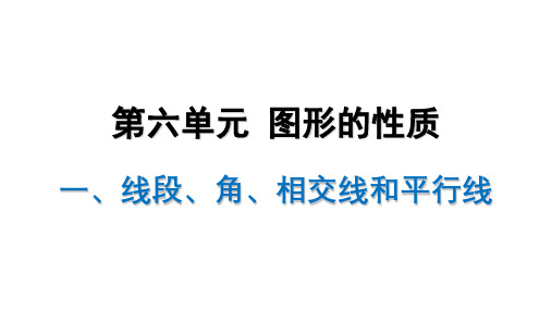 2022年中考数学考点复习课件  图形的性质(线段、角、相交线和平行线)(共36张PPT)