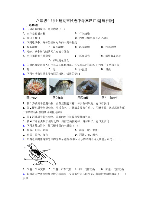 八年级生物上册期末试卷中考真题汇编[解析版][008]