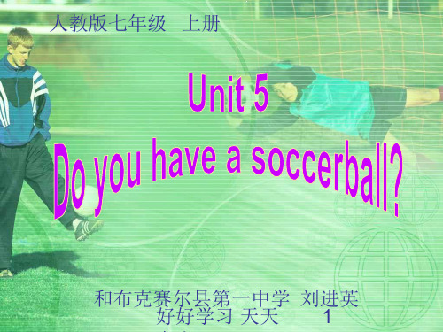 人教版(PEP义务教育版)初一英语七年级上册人教版  Unit 5 Do you have a so