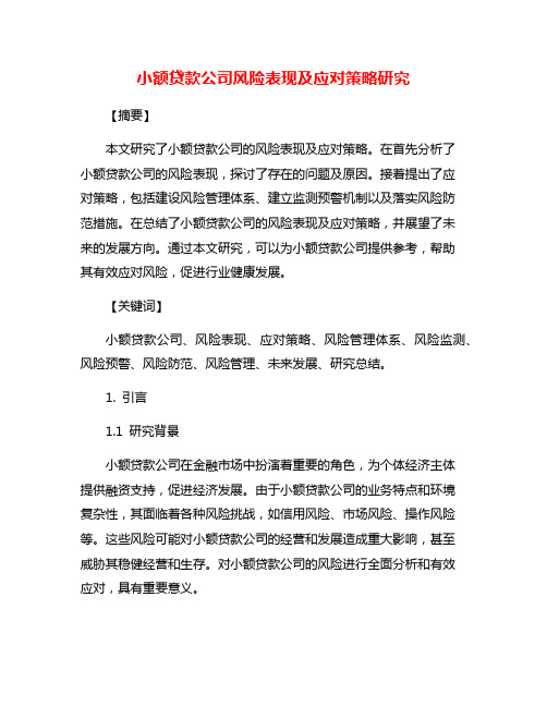 小额贷款公司风险表现及应对策略研究