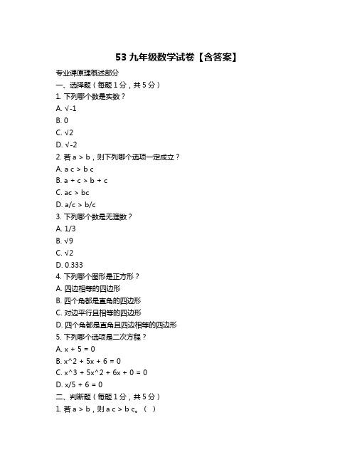 53九年级数学试卷【含答案】