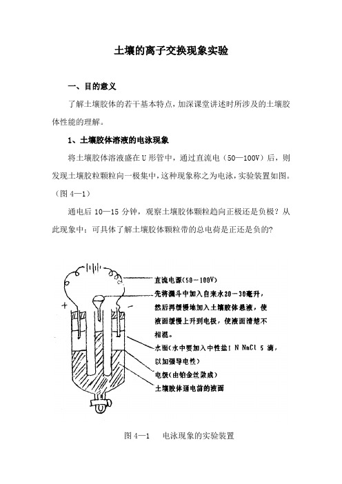 土壤的离子交换现象实验