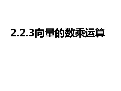 2.2.3向量共线定理