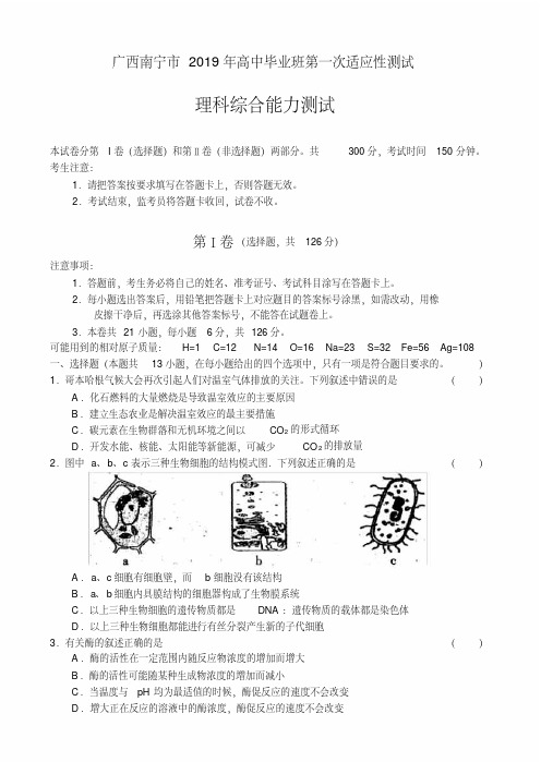 广西南宁市2019年高中毕业班第一次适应性测试理综