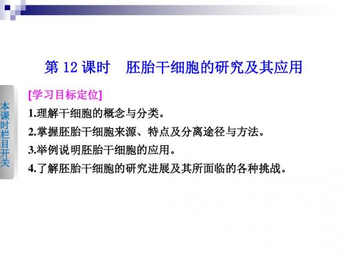 3.12胚胎干细胞的研究及其应用 同步课件(苏教版选修3)