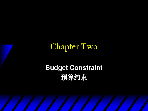 02_Budget__ Constraint