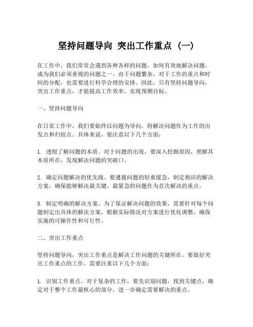 坚持问题导向 突出工作重点 (一)