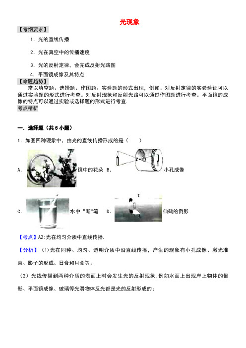 中考物理专题讲解第四讲光现象(含解析)